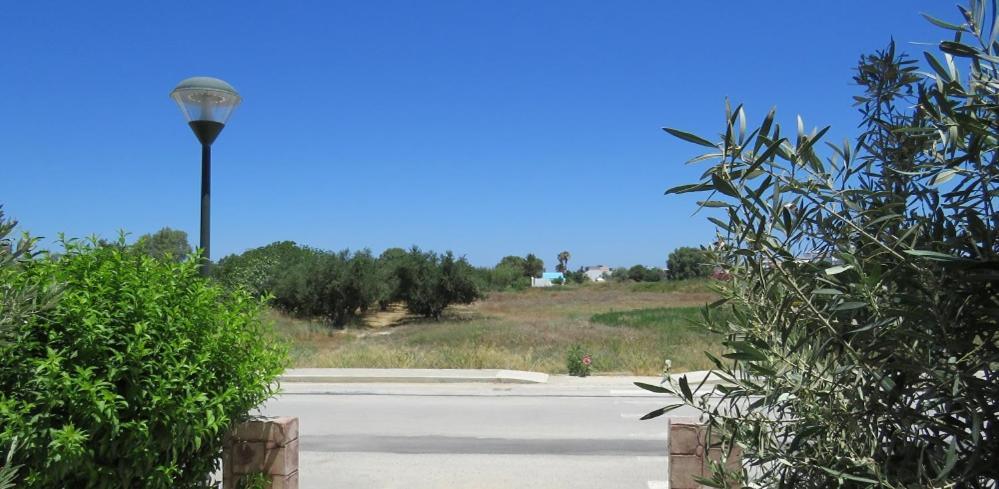 Elia Mare Apartment Mastichari  Eksteriør bilde